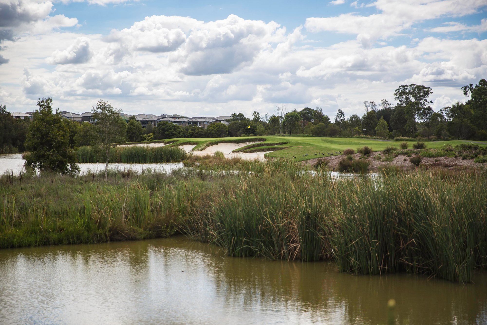 Michael Stead Photography-122